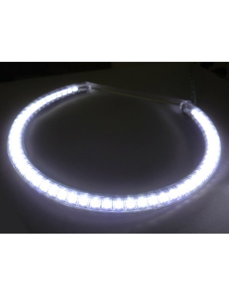 Coppia Angel Eyes Anello Led Semicircolare Diametro 127mm