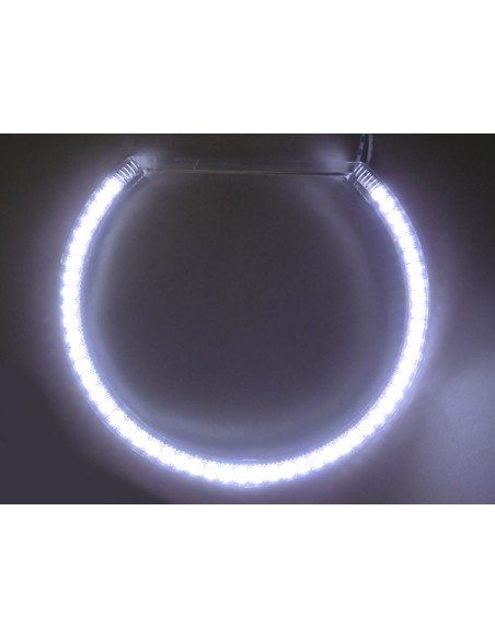 Coppia Angel Eyes Anello Led Semicircolare Diametro 127mm