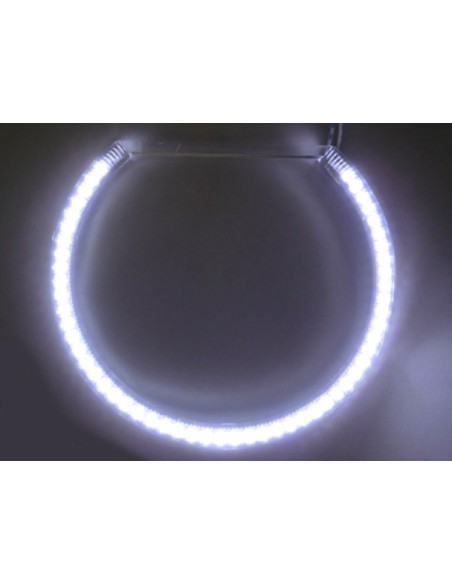 Coppia Angel Eyes Anello Led Semicircolare Diametro 158mm