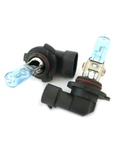 Lampada H10 12V 42W 9145 PY20d Con Effetto XENON Bianco