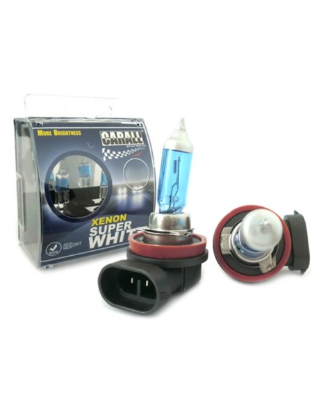Lampada H8 12V 35W PGJ19-1 Con Effetto XENON Bianco Angel Eyes BMW