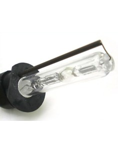 Lampada Hid Xenon H1 6000K 50W