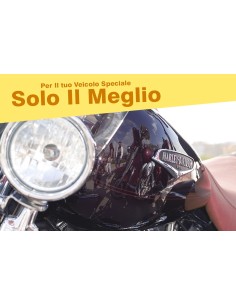 Lampada Led BAY15D 1157 Rosso Per Moto Harley Davidson Canbus No Errore Luce Posizione e Stop No Polarita 48 Smd 2835 2
