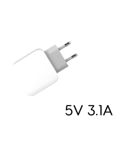 Caricatore 2 Porte USB 5V 2,1A Ricaricabatteria USB Ricarica Veloce 2