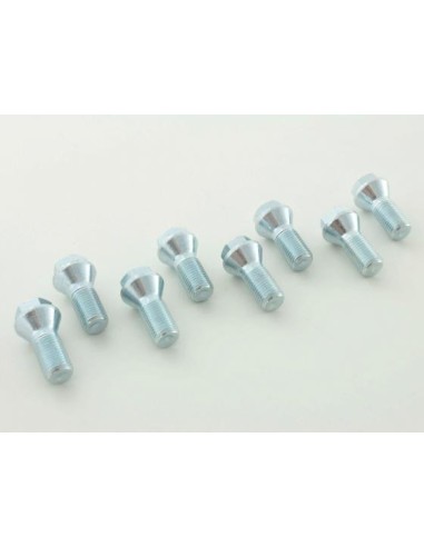 Set bulloni ruota (8 pz.) Lunghezza albero 26 mm, collare conico, testa corta, argento M14x1,5