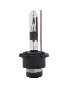 Lampadine allo xeno D2R 10000K