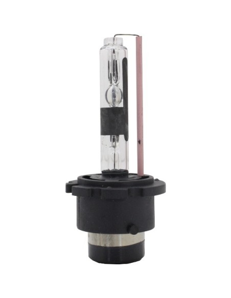 Lampadine allo xeno D2R 10000K