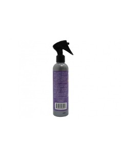 Paradise Spray Deodorante per Aria, Eliminazione Odori, Profumo di Nero 2