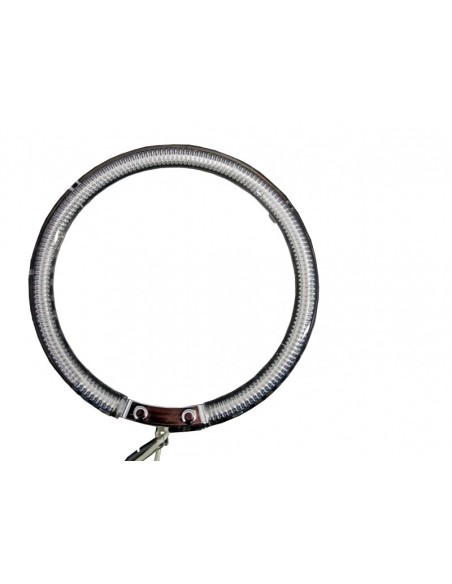 Kit occhi d'angelo per BMW X5 E53 (00-06)