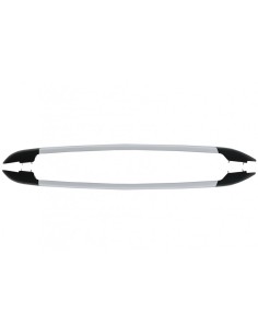 Portapacchi per Ford Ranger T6 T7 T8 Cabina doppia (12-) Argento 2