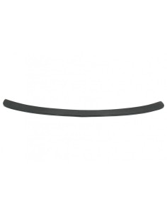 Spoiler baule per Tesla Modello 3 (17-up) Real Carbon 2